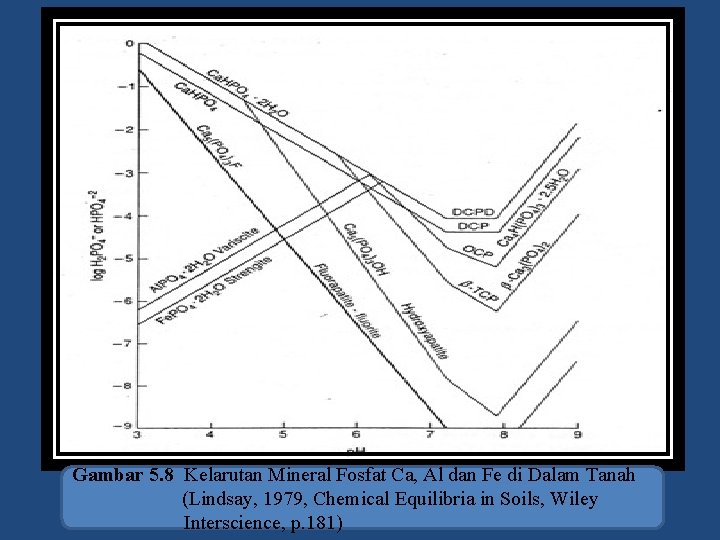 Gambar 5. 8 Kelarutan Mineral Fosfat Ca, Al dan Fe di Dalam Tanah (Lindsay,