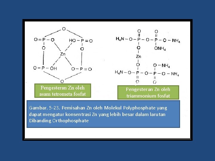 Pengesteran Zn oleh asam tetrometa fosfat Pengesteran Zn oleh triammonium fosfat Gambar. 5 -23.