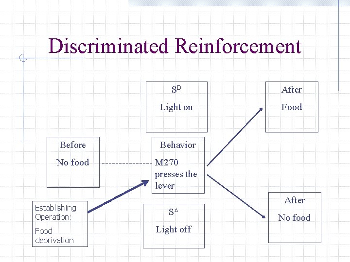 Discriminated Reinforcement SD After Light on Food Before Behavior No food M 270 presses
