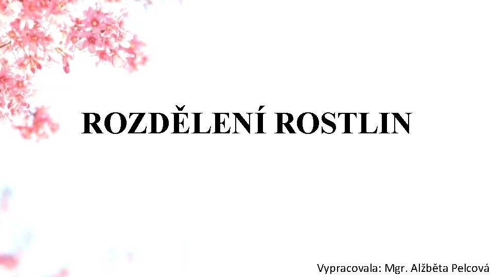 ROZDĚLENÍ ROSTLIN Vypracovala: Mgr. Alžběta Pelcová 