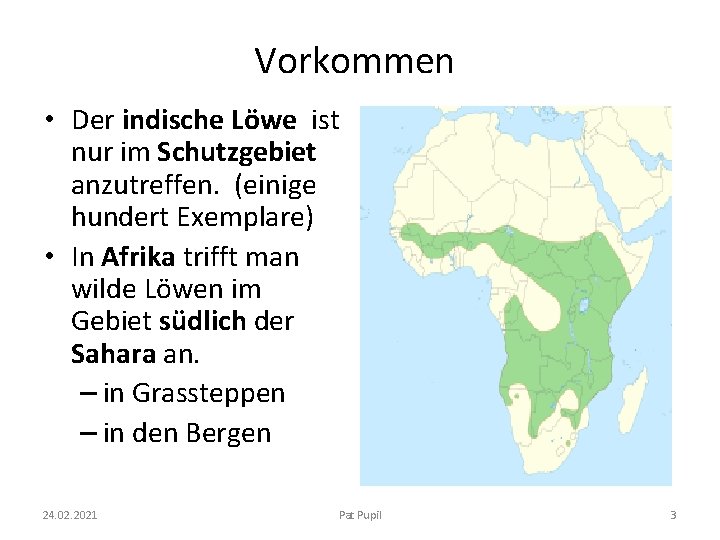 Vorkommen • Der indische Löwe ist nur im Schutzgebiet anzutreffen. (einige hundert Exemplare) •