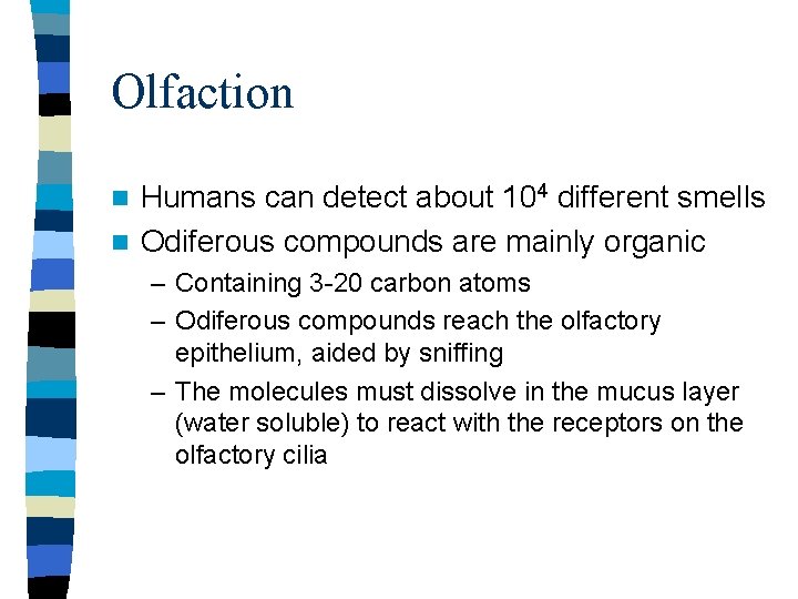 Olfaction Humans can detect about 104 different smells n Odiferous compounds are mainly organic Olfaction Humans can detect about 104 different smells n Odiferous compounds are mainly organic