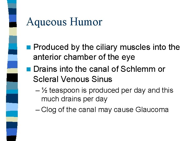 Aqueous Humor n Produced by the ciliary muscles into the anterior chamber of the Aqueous Humor n Produced by the ciliary muscles into the anterior chamber of the