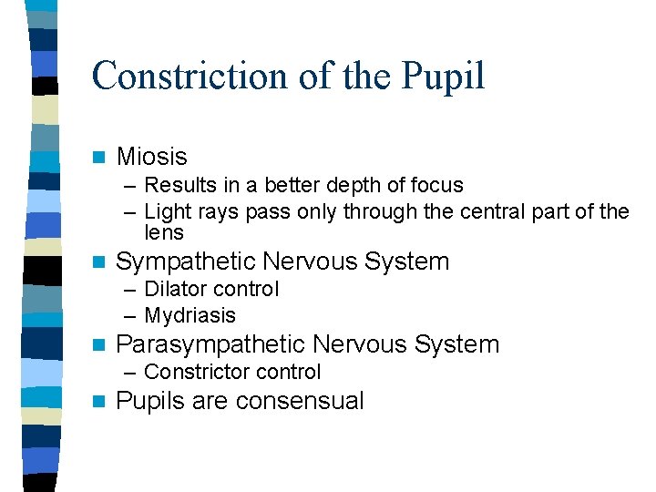 Constriction of the Pupil n Miosis – Results in a better depth of focus Constriction of the Pupil n Miosis – Results in a better depth of focus