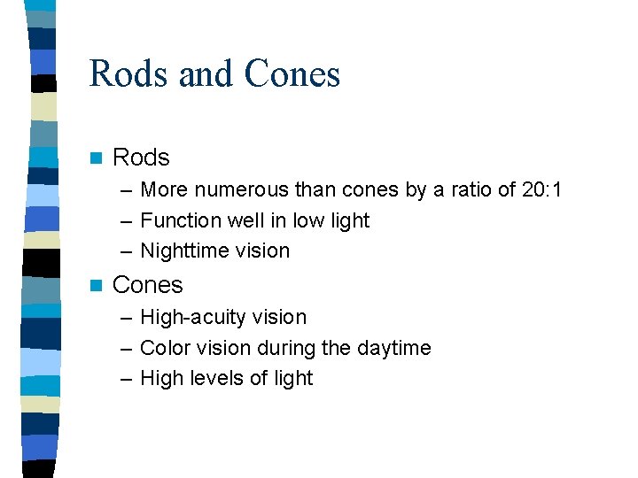 Rods and Cones n Rods – More numerous than cones by a ratio of Rods and Cones n Rods – More numerous than cones by a ratio of