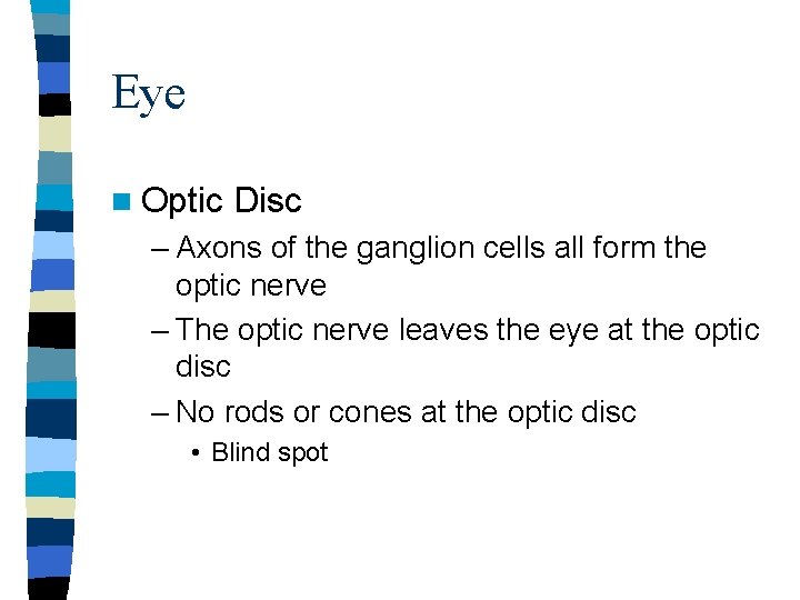 Eye n Optic Disc – Axons of the ganglion cells all form the optic Eye n Optic Disc – Axons of the ganglion cells all form the optic