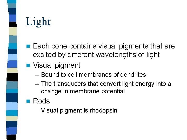 Light Each cone contains visual pigments that are excited by different wavelengths of light Light Each cone contains visual pigments that are excited by different wavelengths of light