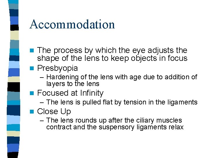 Accommodation The process by which the eye adjusts the shape of the lens to Accommodation The process by which the eye adjusts the shape of the lens to