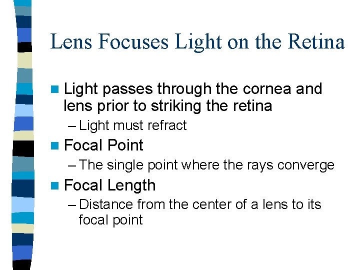 Lens Focuses Light on the Retina n Light passes through the cornea and lens Lens Focuses Light on the Retina n Light passes through the cornea and lens