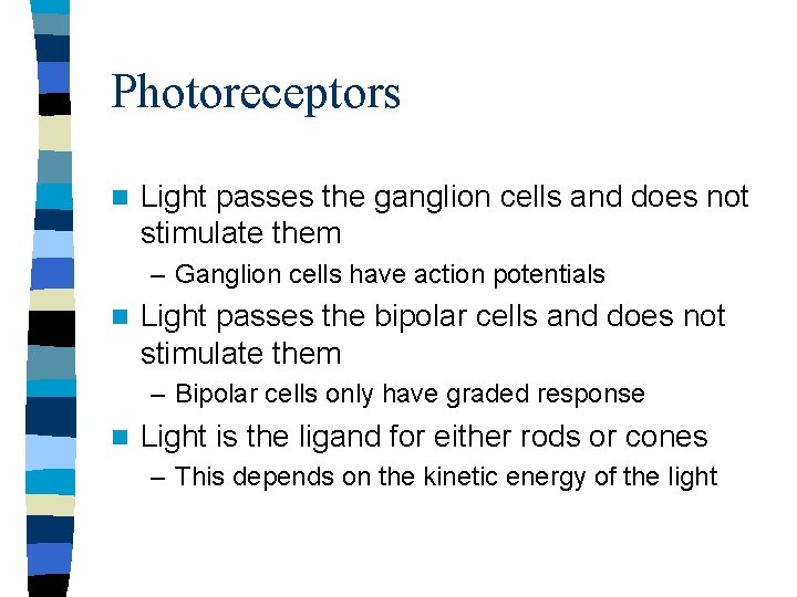 Photoreceptors n Light passes the ganglion cells and does not stimulate them – Ganglion Photoreceptors n Light passes the ganglion cells and does not stimulate them – Ganglion