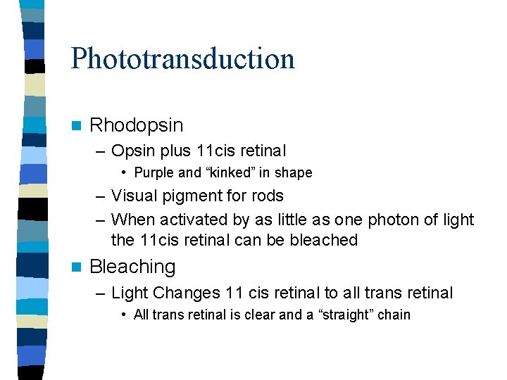 Phototransduction n Rhodopsin – Opsin plus 11 cis retinal • Purple and “kinked” in Phototransduction n Rhodopsin – Opsin plus 11 cis retinal • Purple and “kinked” in