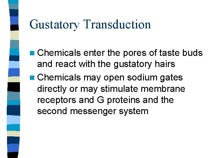 Gustatory Transduction n Chemicals enter the pores of taste buds and react with the Gustatory Transduction n Chemicals enter the pores of taste buds and react with the