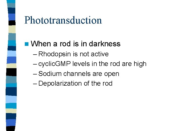Phototransduction n When a rod is in darkness – Rhodopsin is not active – Phototransduction n When a rod is in darkness – Rhodopsin is not active –