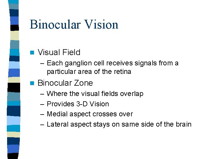 Binocular Vision n Visual Field – Each ganglion cell receives signals from a particular Binocular Vision n Visual Field – Each ganglion cell receives signals from a particular
