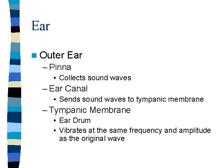 Ear n Outer Ear – Pinna • Collects sound waves – Ear Canal • Ear n Outer Ear – Pinna • Collects sound waves – Ear Canal •