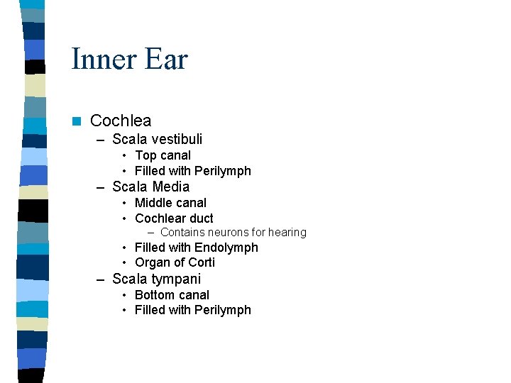Inner Ear n Cochlea – Scala vestibuli • Top canal • Filled with Perilymph Inner Ear n Cochlea – Scala vestibuli • Top canal • Filled with Perilymph