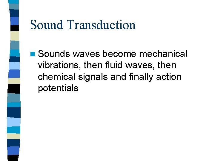 Sound Transduction n Sounds waves become mechanical vibrations, then fluid waves, then chemical signals Sound Transduction n Sounds waves become mechanical vibrations, then fluid waves, then chemical signals