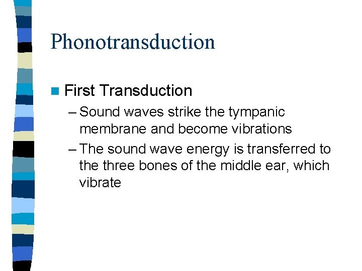 Phonotransduction n First Transduction – Sound waves strike the tympanic membrane and become vibrations Phonotransduction n First Transduction – Sound waves strike the tympanic membrane and become vibrations
