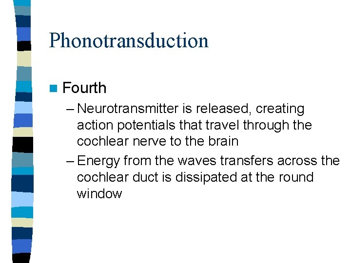 Phonotransduction n Fourth – Neurotransmitter is released, creating action potentials that travel through the Phonotransduction n Fourth – Neurotransmitter is released, creating action potentials that travel through the