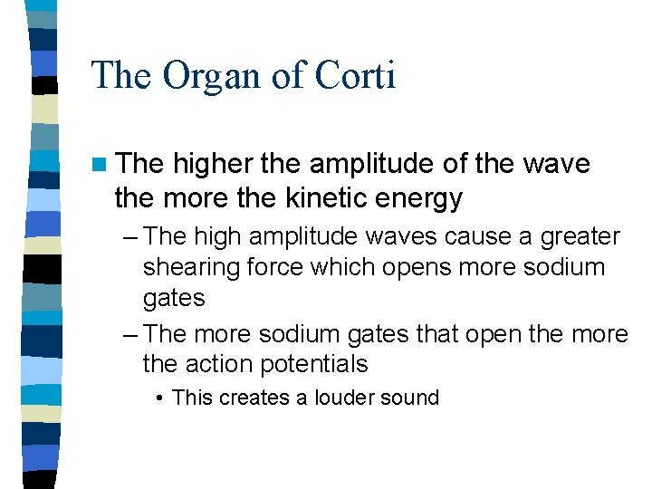 The Organ of Corti n The higher the amplitude of the wave the more The Organ of Corti n The higher the amplitude of the wave the more