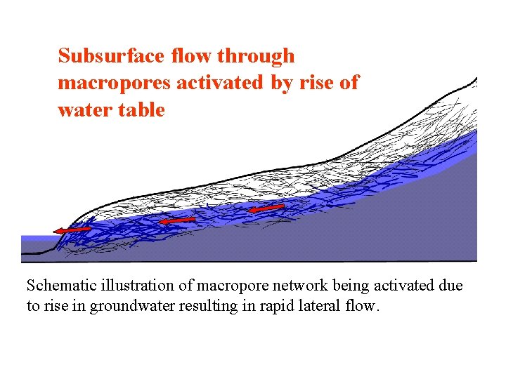 Subsurface flow through macropores activated by rise of water table Schematic illustration of macropore Subsurface flow through macropores activated by rise of water table Schematic illustration of macropore