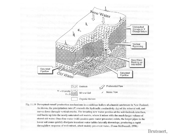 Brutsaert, Brutsaert,
