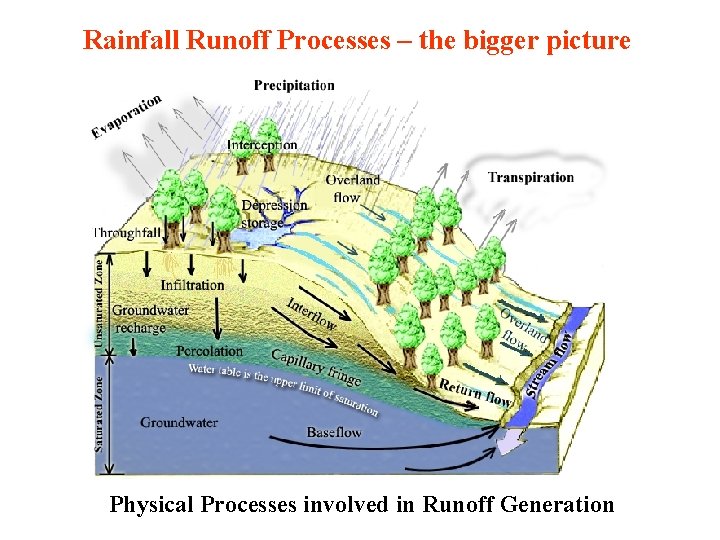 Rainfall Runoff Processes – the bigger picture Physical Processes involved in Runoff Generation Rainfall Runoff Processes – the bigger picture Physical Processes involved in Runoff Generation