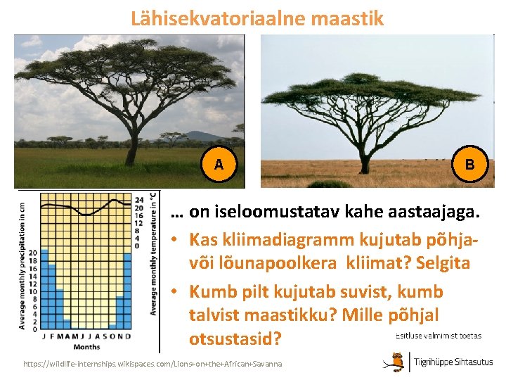 Lähisekvatoriaalne maastik A B … on iseloomustatav kahe aastaajaga. • Kas kliimadiagramm kujutab põhjavõi