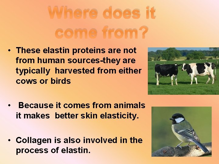 Where does it come from? • These elastin proteins are not from human sources-they