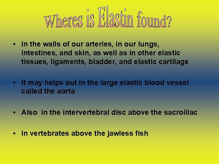  • In the walls of our arteries, in our lungs, intestines, and skin,