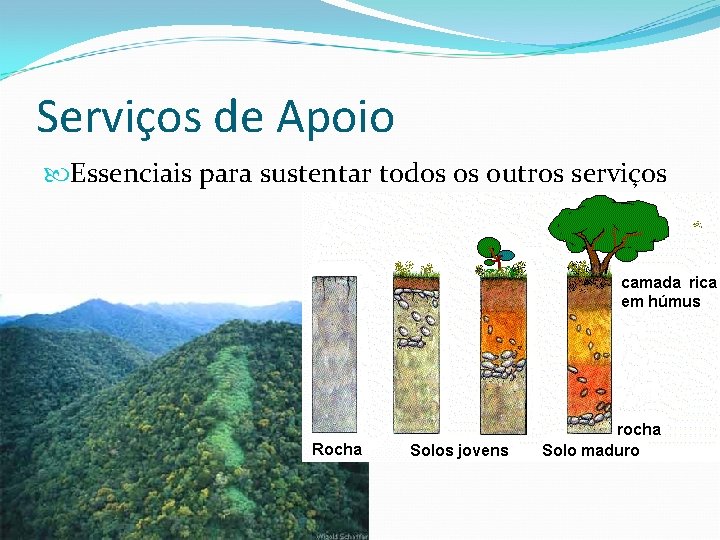 Serviços de Apoio Essenciais para sustentar todos os outros serviços Serviços de Apoio Essenciais para sustentar todos os outros serviços
