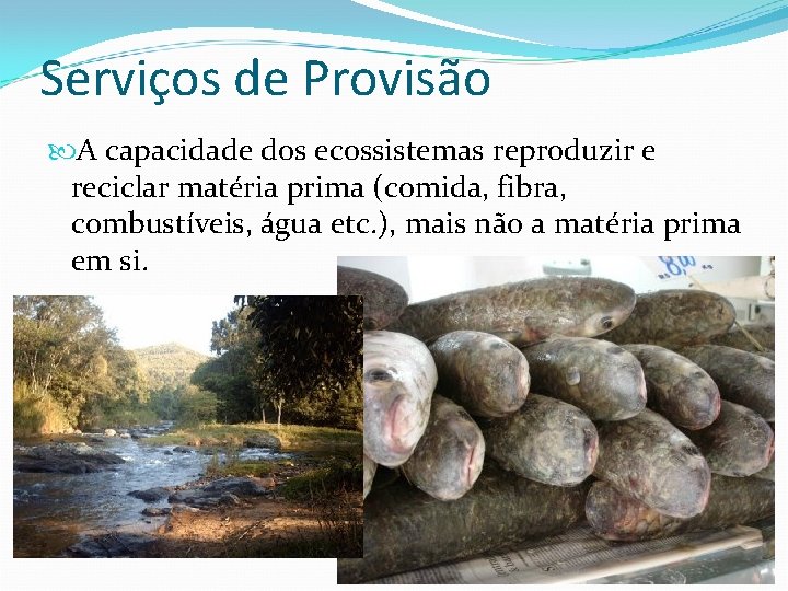 Serviços de Provisão A capacidade dos ecossistemas reproduzir e reciclar matéria prima (comida, fibra,