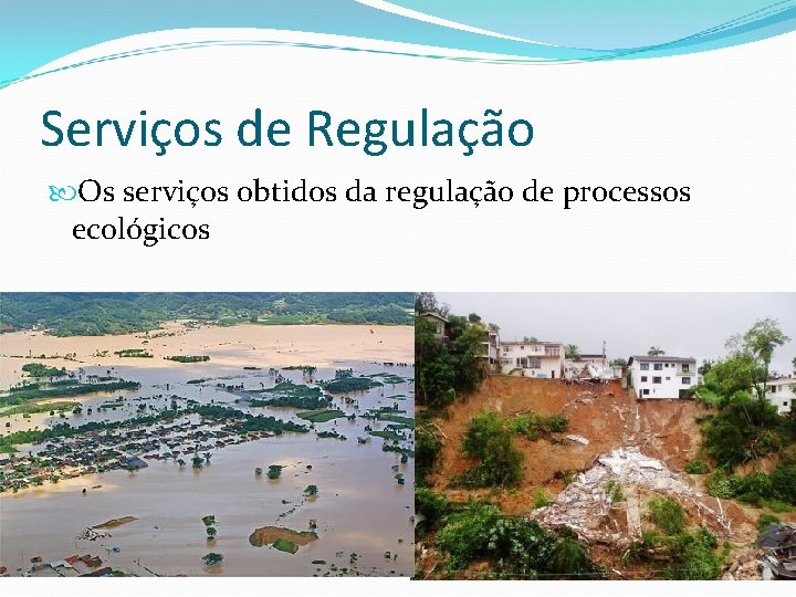 Serviços de Regulação Os serviços obtidos da regulação de processos ecológicos Serviços de Regulação Os serviços obtidos da regulação de processos ecológicos