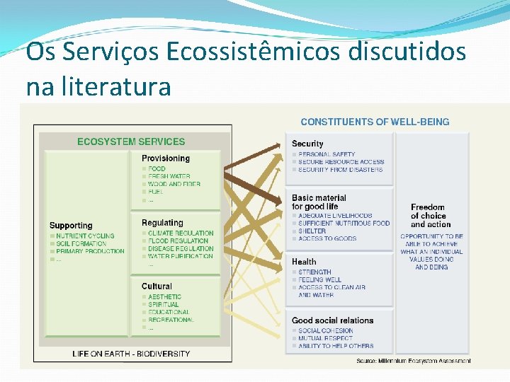 Os Serviços Ecossistêmicos discutidos na literatura Os Serviços Ecossistêmicos discutidos na literatura