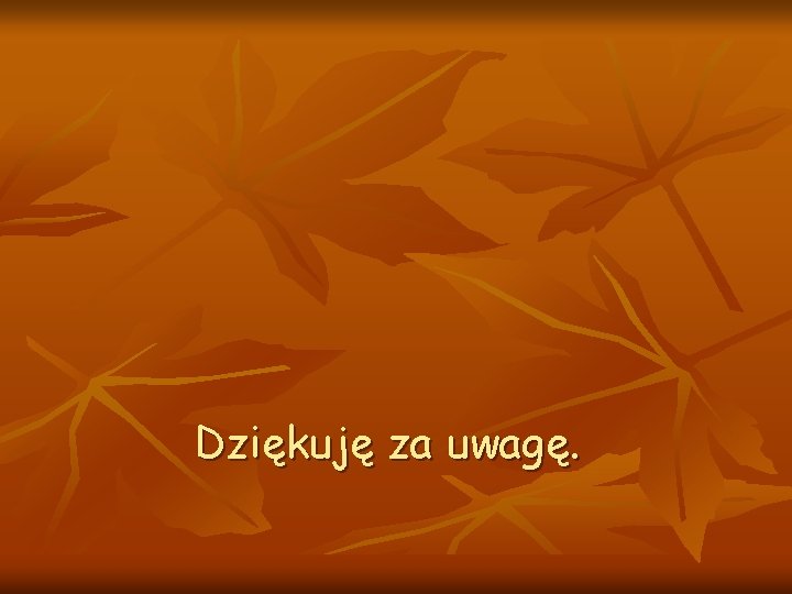 Dziękuję za uwagę. 