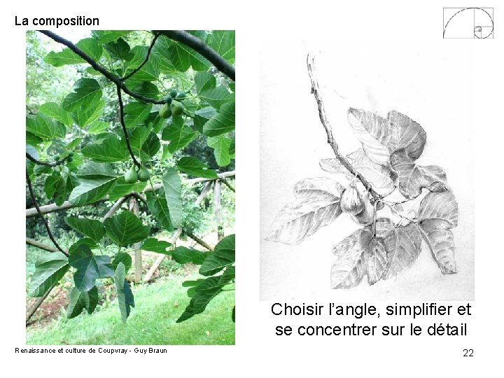 La composition Choisir l’angle, simplifier et se concentrer sur le détail Renaissance et culture La composition Choisir l’angle, simplifier et se concentrer sur le détail Renaissance et culture