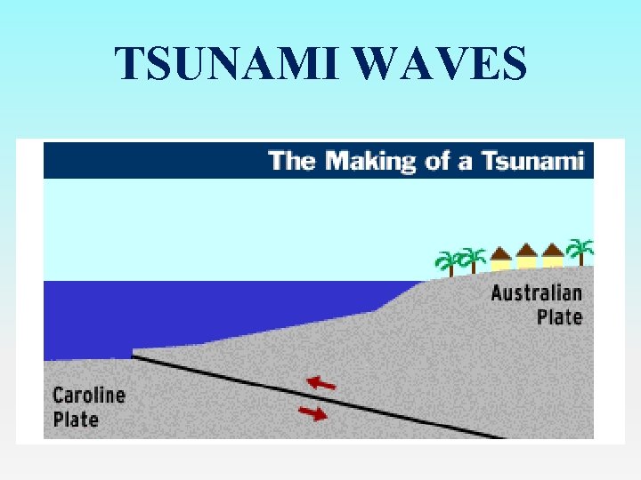 TSUNAMI WAVES 