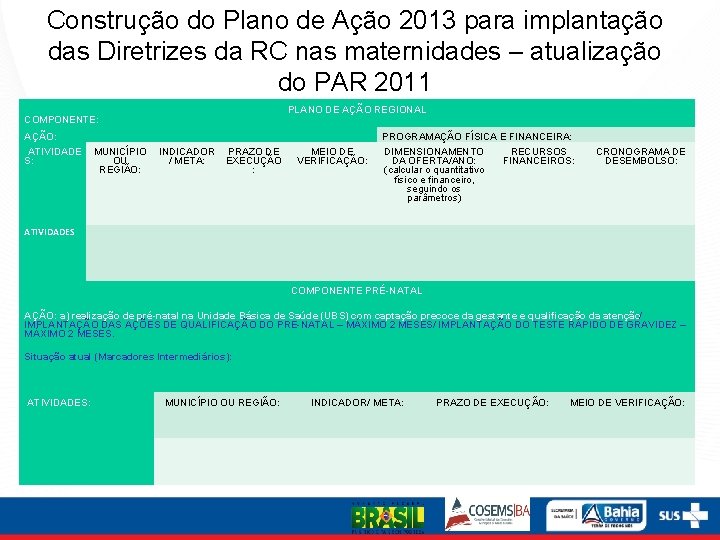 Construção do Plano de Ação 2013 para implantação das Diretrizes da RC nas maternidades