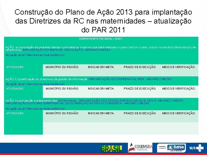 Construção do Plano de Ação 2013 para implantação das Diretrizes da RC nas maternidades