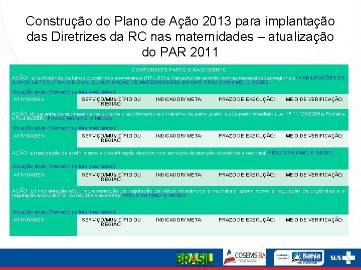 Construção do Plano de Ação 2013 para implantação das Diretrizes da RC nas maternidades