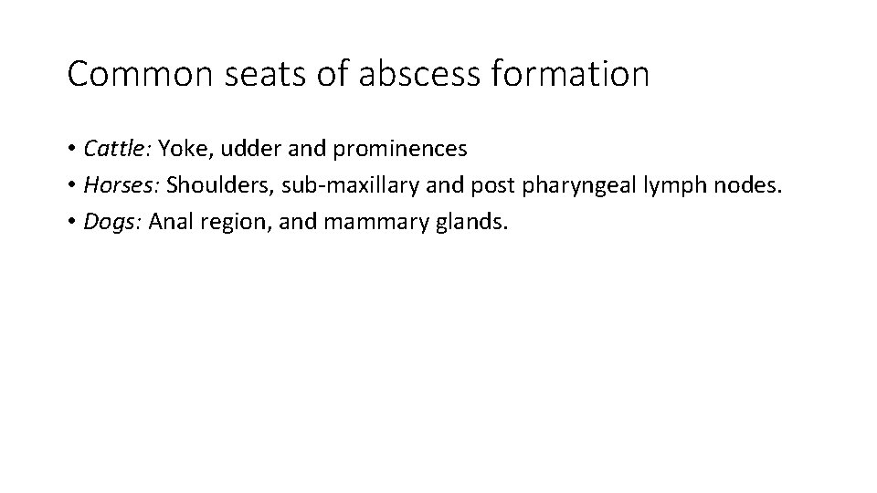Common seats of abscess formation • Cattle: Yoke, udder and prominences • Horses: Shoulders, Common seats of abscess formation • Cattle: Yoke, udder and prominences • Horses: Shoulders,