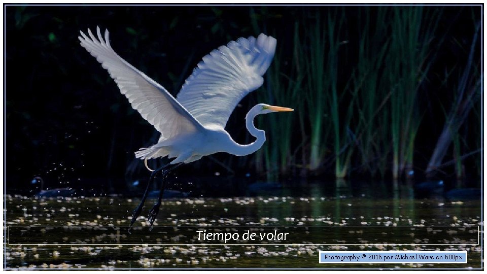 Tiempo de volar Photography © 2015 por Michael Ware en 500 px 