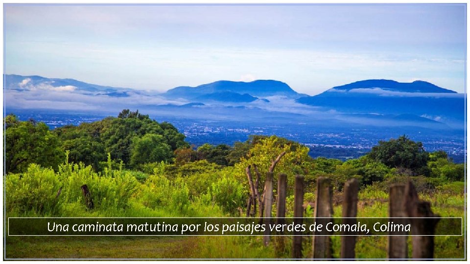 Una caminata matutina por los paisajes verdes de Comala, Colima 