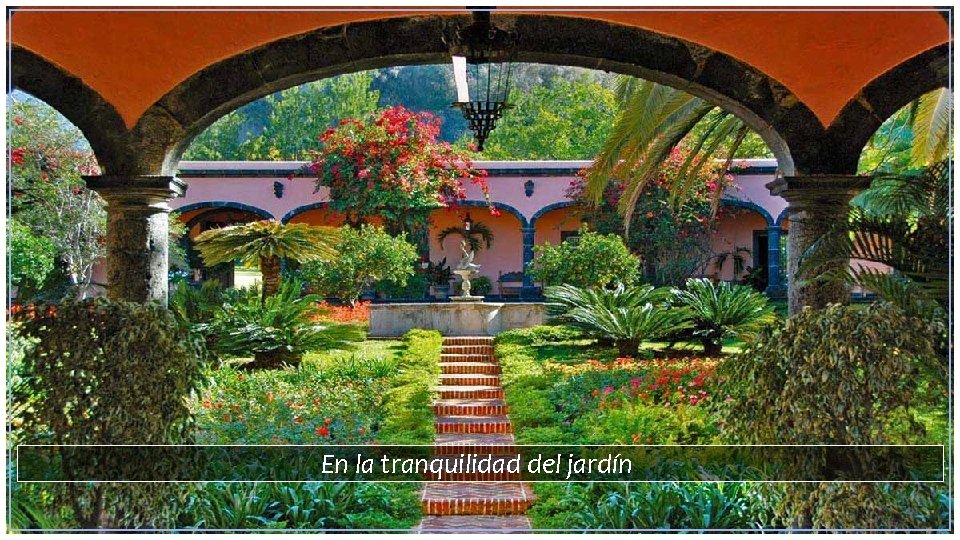 En la tranquilidad del jardín 