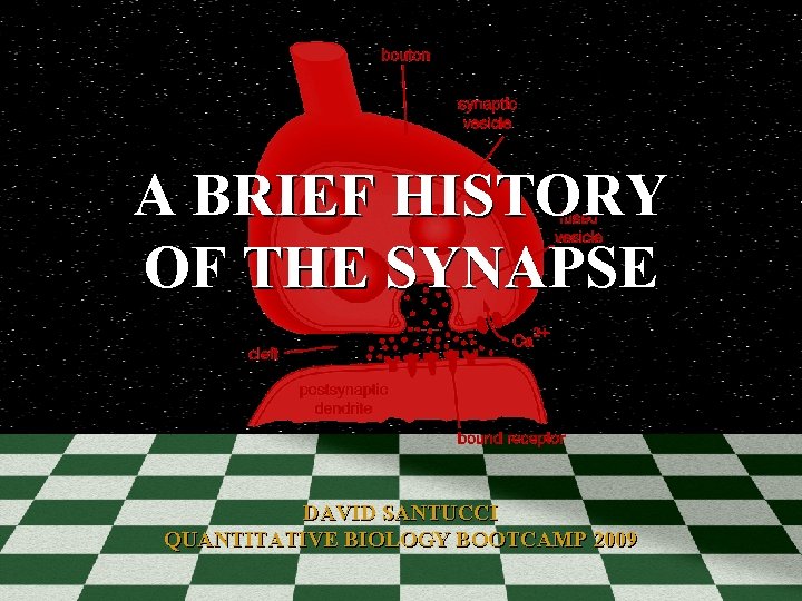 A BRIEF HISTORY OF THE SYNAPSE DAVID SANTUCCI QUANTITATIVE BIOLOGY BOOTCAMP 2009 