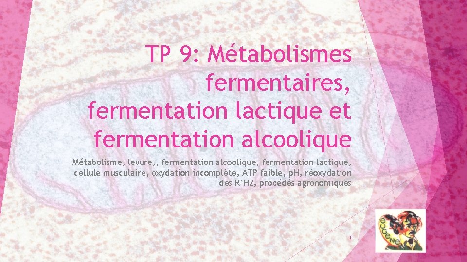 TP 9: Métabolismes fermentaires, fermentation lactique et fermentation alcoolique Métabolisme, levure, , fermentation alcoolique,