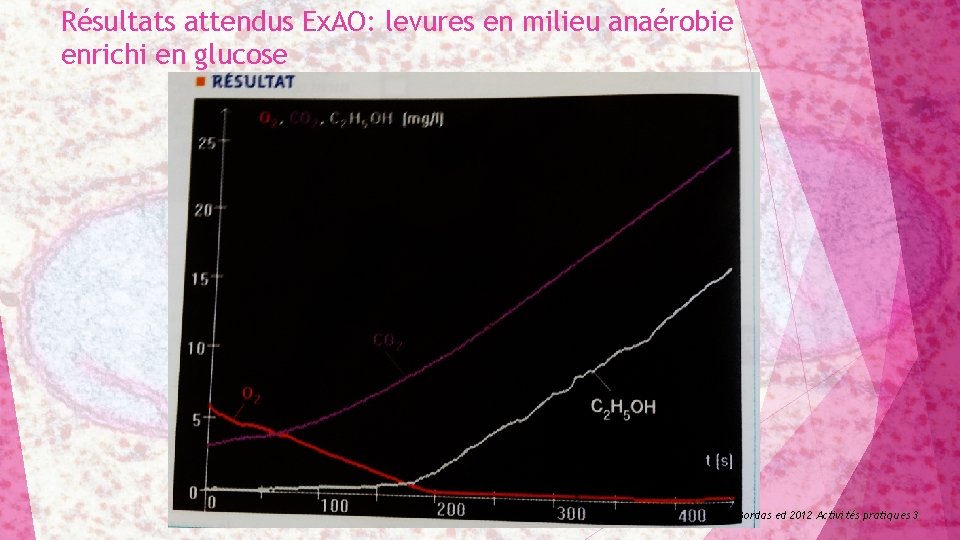Résultats attendus Ex. AO: levures en milieu anaérobie enrichi en glucose 11 SVT Bordas