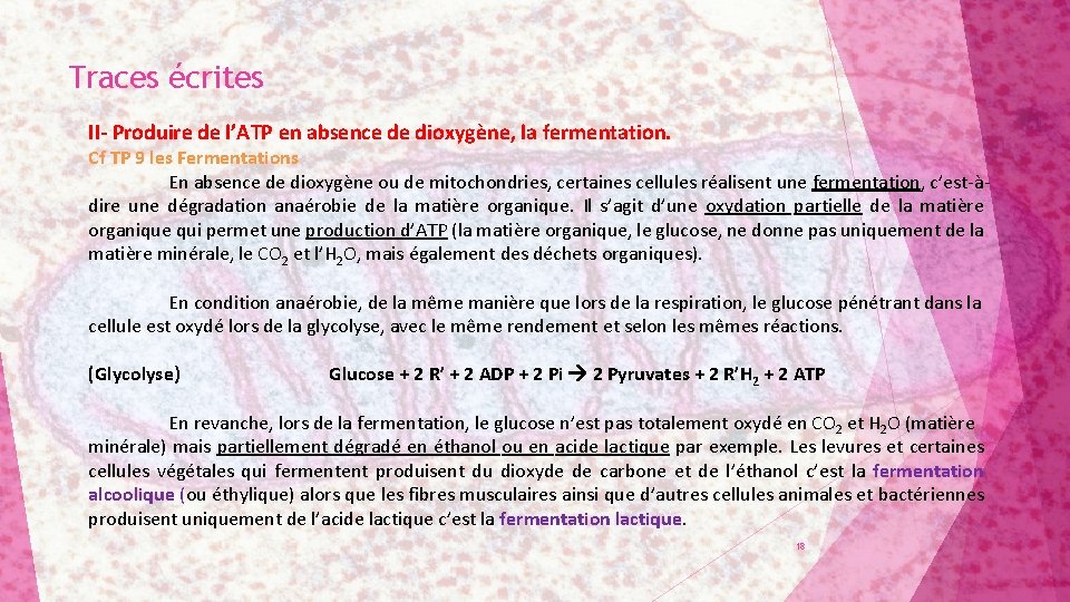 Traces écrites II- Produire de l’ATP en absence de dioxygène, la fermentation. Cf TP