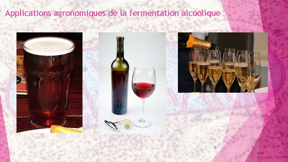 Applications agronomiques de la fermentation alcoolique 22 