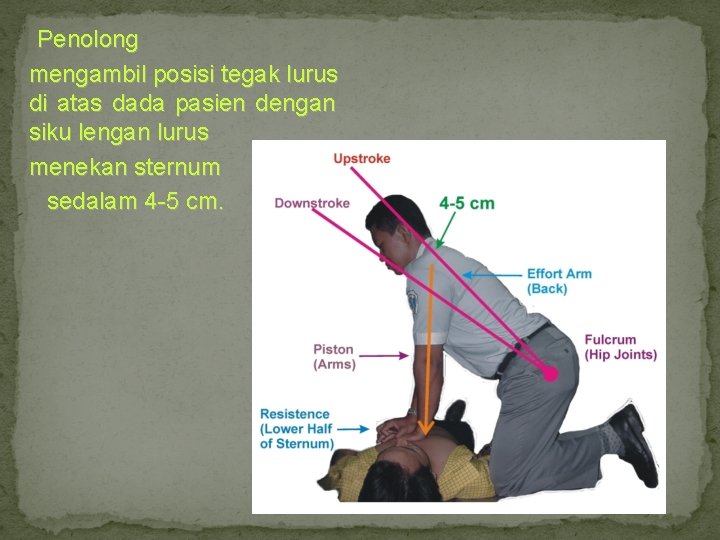 Penolong mengambil posisi tegak lurus di atas dada pasien dengan siku lengan lurus menekan